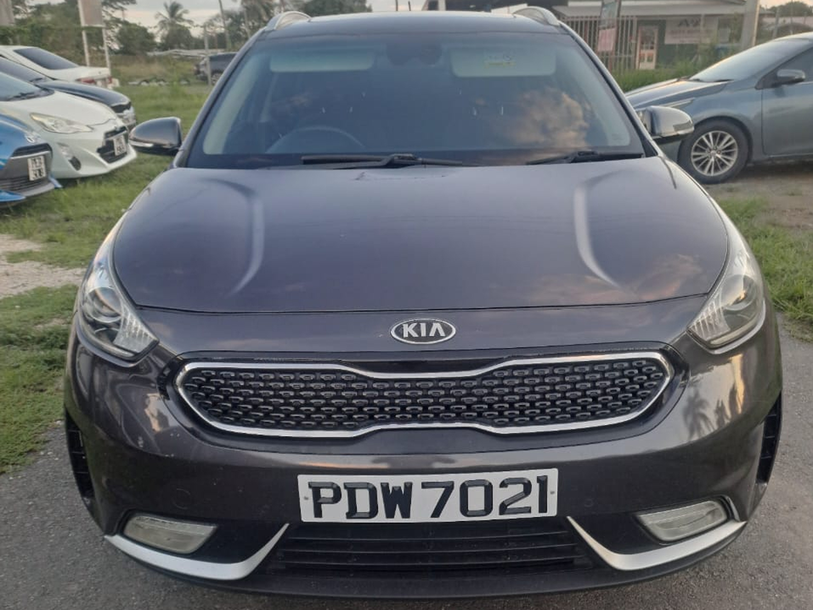 Kia Niro